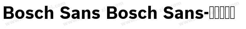 Bosch Sans Bosch Sans字体转换